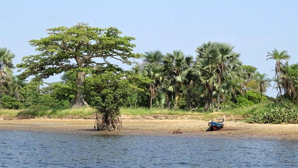 Eco-Lodge Hotel Oasis Fishing Saint-Louis Exterior foto